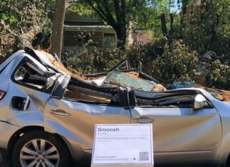 Уничтоженный деревом Subaru Forester превратили в памятник