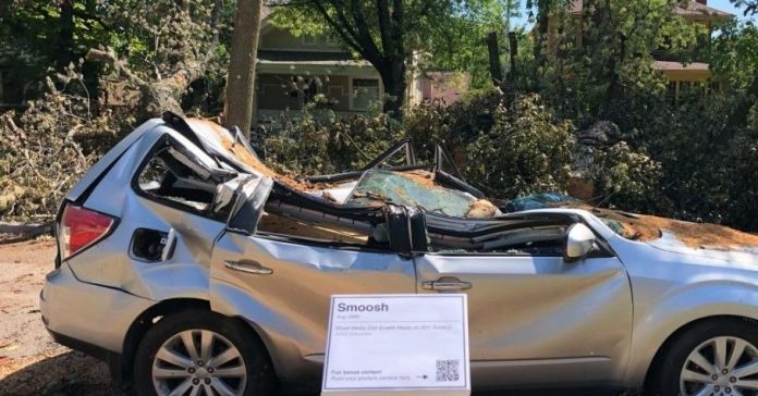 Уничтоженный деревом Subaru Forester превратили в памятник