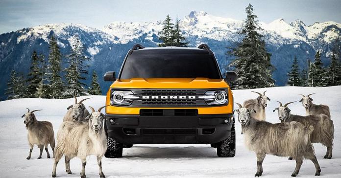 В рекламе Ford Bronco Sport с системой G.O.A.T. снялись горные козлы